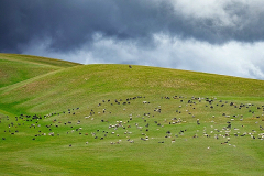 Mongolei